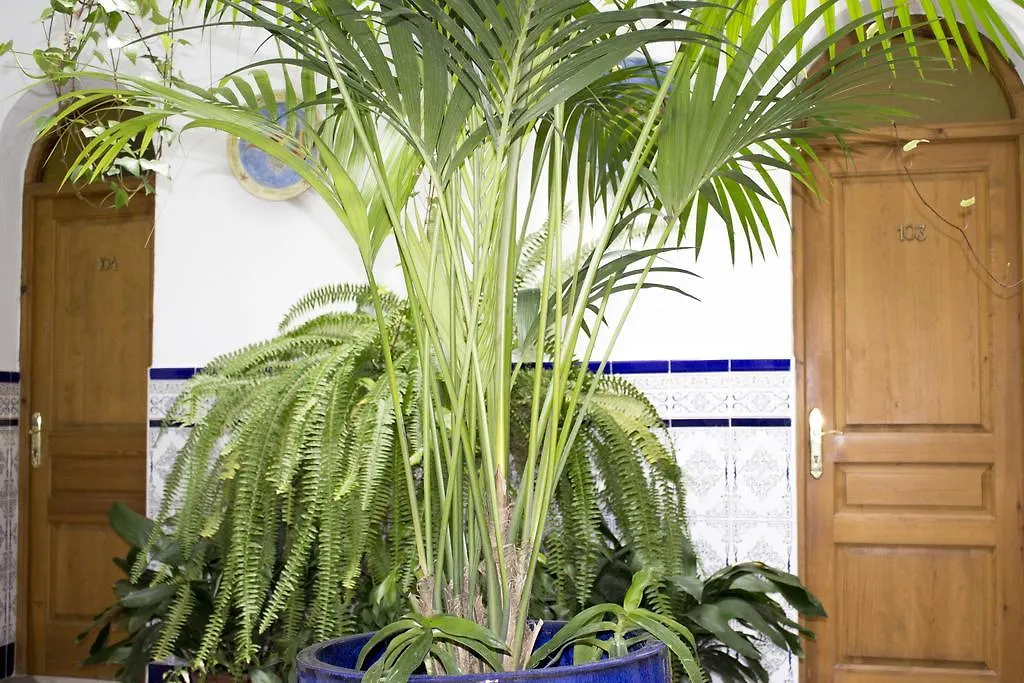 Hostal El Arco Conil De La Frontera
