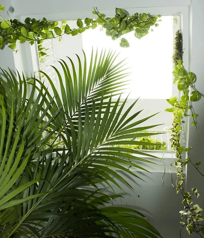 Hostal El Arco Conil De La Frontera Guest house