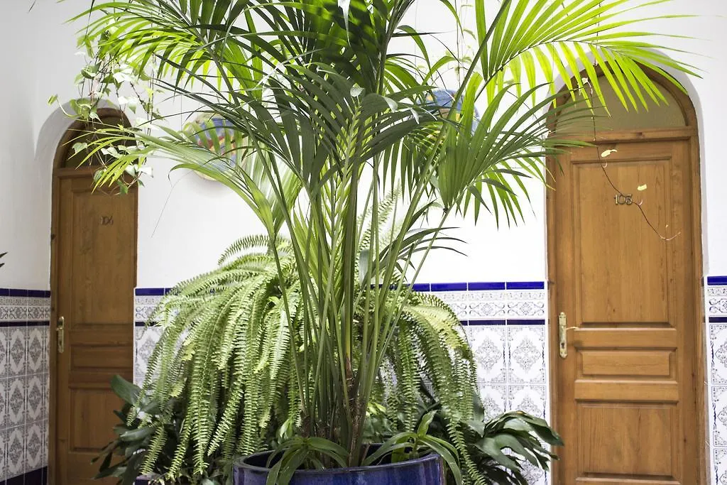 Hostal El Arco Conil De La Frontera 2*,